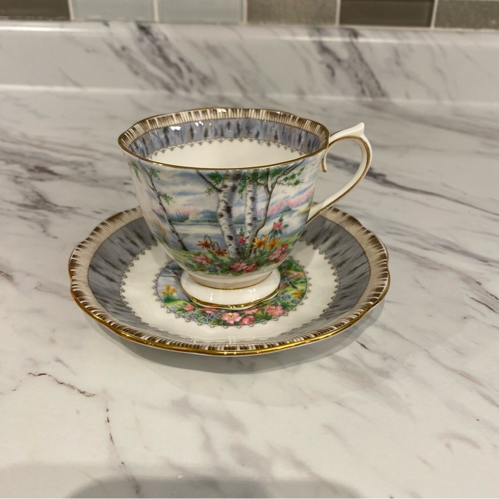 Vintage Royal Albert Silver Birch bone china teacup & saucer